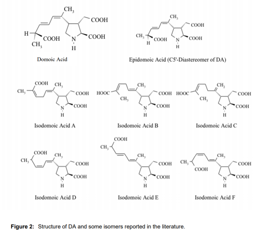 1672213482969829.png image.png